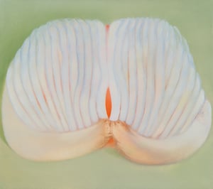 AspenArtCrush2025_MS_51_Twin Shell_1 front_resized_cropped