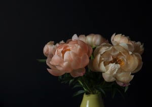 Lot 55. Christina Wilson - The 2 Peonies - Future Dreams